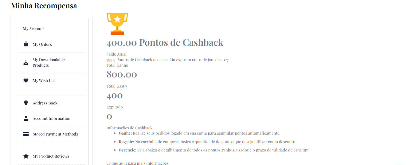 Dashboard do cliente com saldo de pontos e histórico